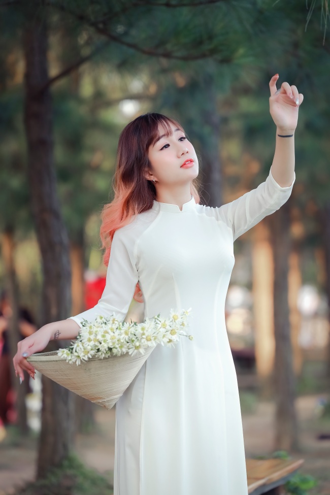 短剧梦莲